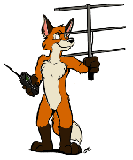 picture of a fox with antenna for ARAC Fox Hunt Events